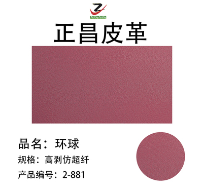环球